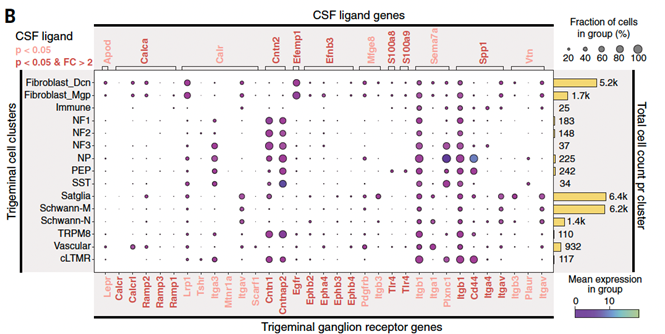 Trigeminal Ganglion Receptor Genes Graph